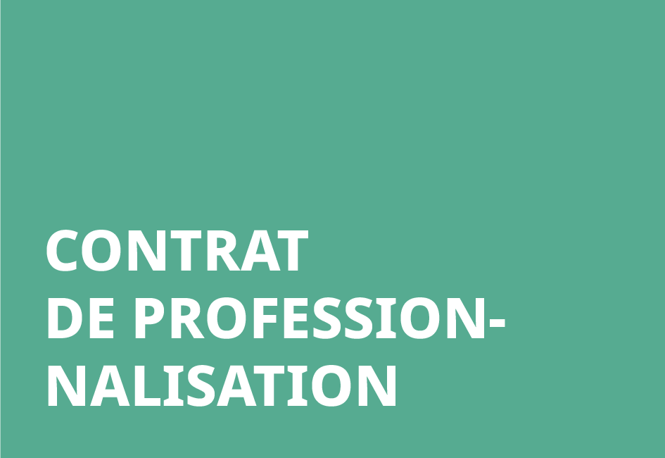 Contrat de professionnalisation 