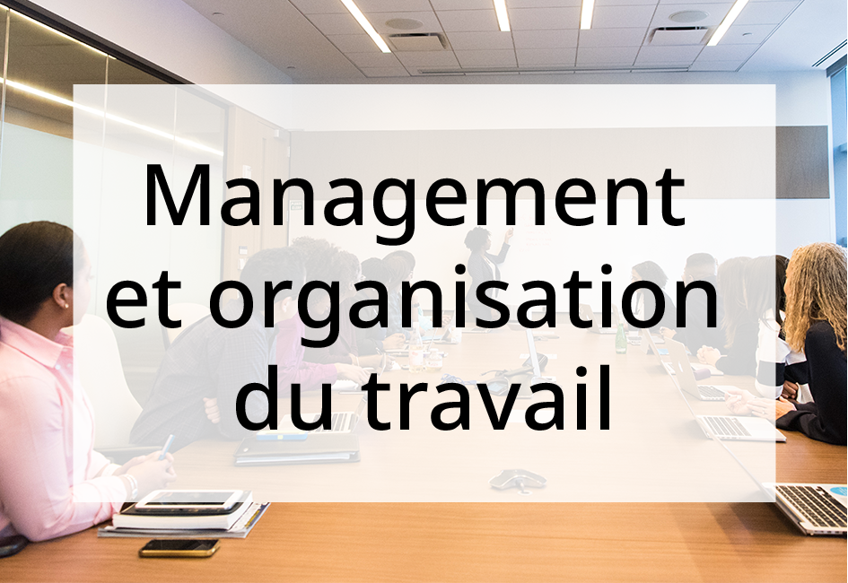 Management et organisation du travail