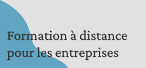 Découvrez notre offre de formation à distance pour les entreprises