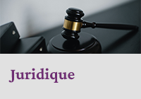 Formations en juridique